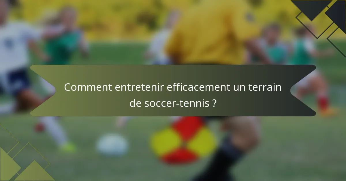 Comment entretenir efficacement un terrain de soccer-tennis ?