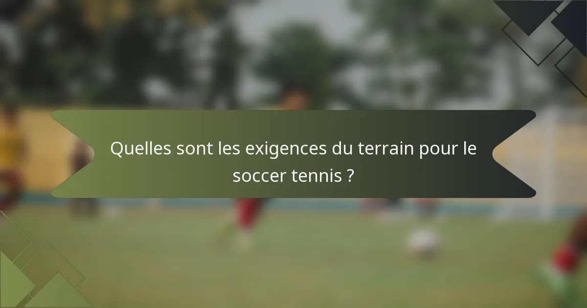 Quelles sont les exigences du terrain pour le soccer tennis ?