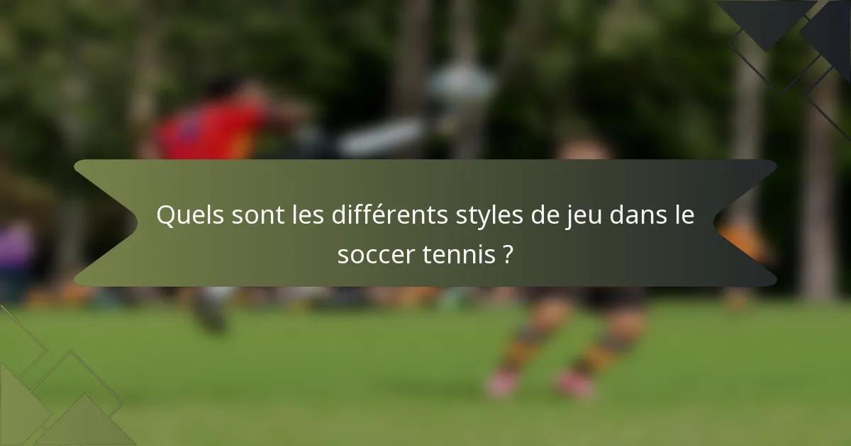 Quels sont les différents styles de jeu dans le soccer tennis ?
