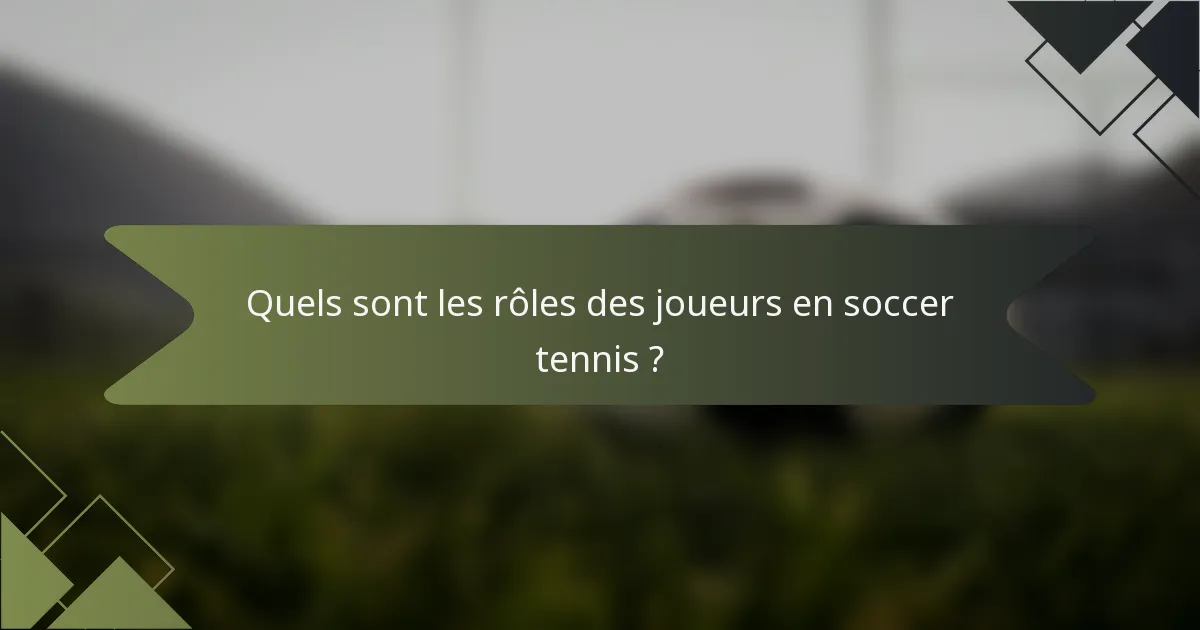 Quels sont les rôles des joueurs en soccer tennis ?